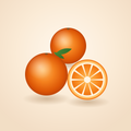 발렌시아 오렌지 Valencia Orange (kg당)
